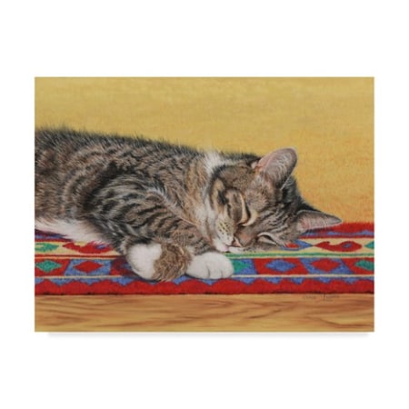 Janet Pidoux 'Sleepy Sam' Canvas Art,18x24